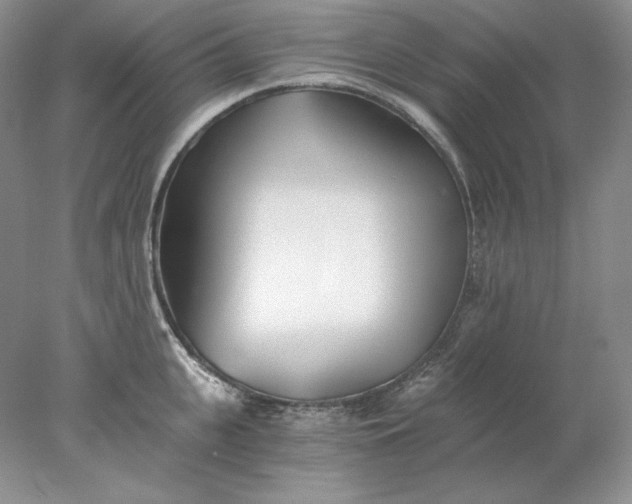 X0000078260951200611172001