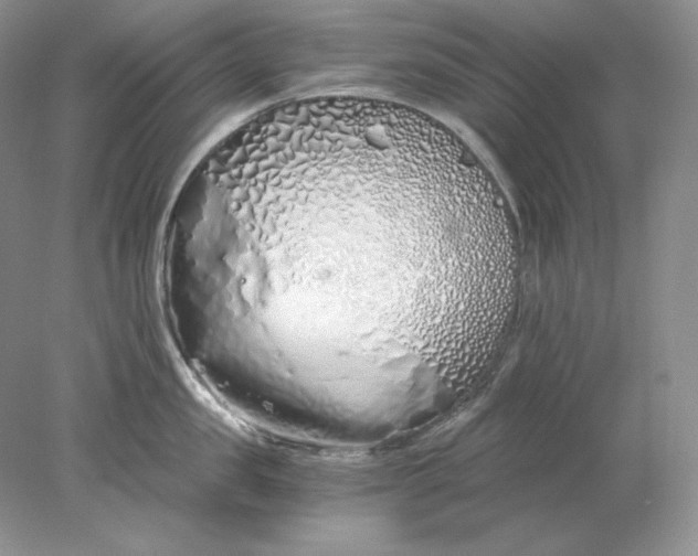 X0000078260957200611172001