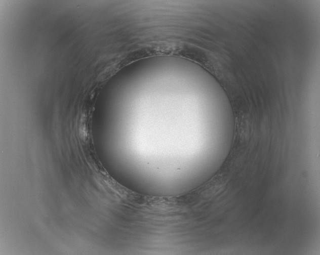 X0000078260962200611172000