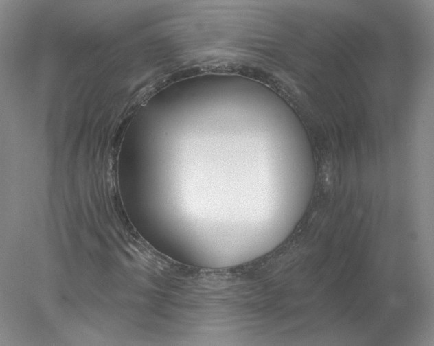 X0000078260964200611172000