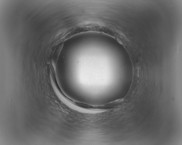 X0000078260965200611172000