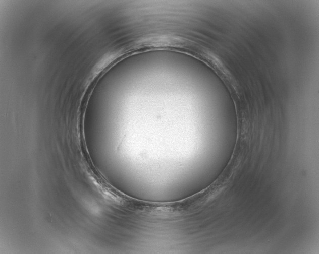 X0000078260986200611172000