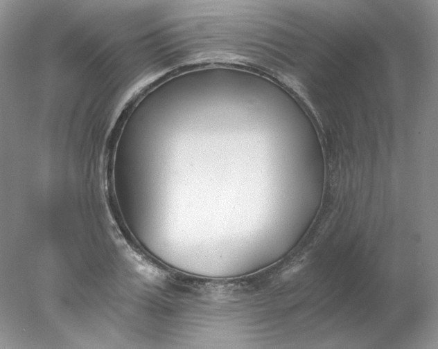 X0000078260987200611172000