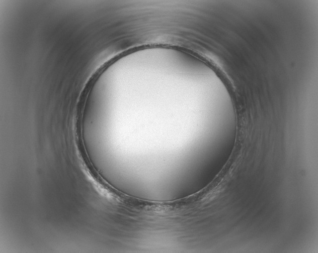 X0000078260991200611172000