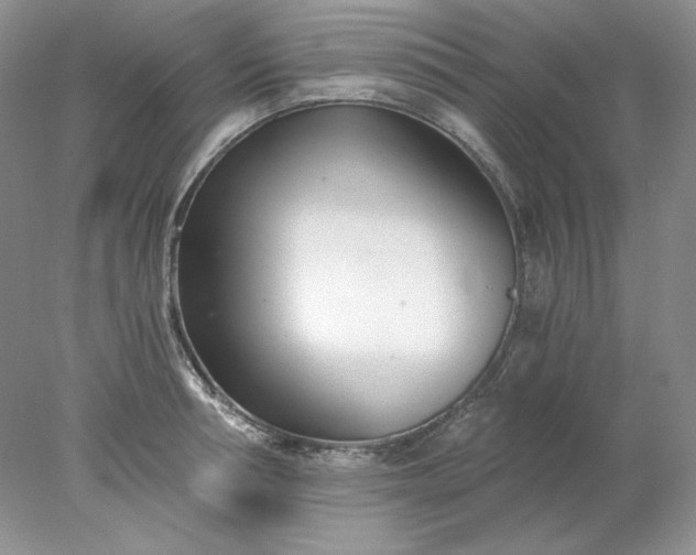 X0000078260994200611172000