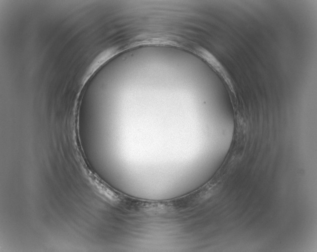 X0000078261002200611172000