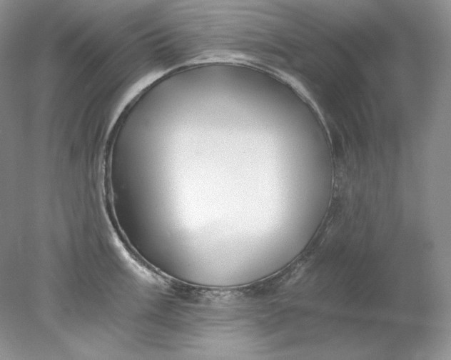 X0000078261003200611172000