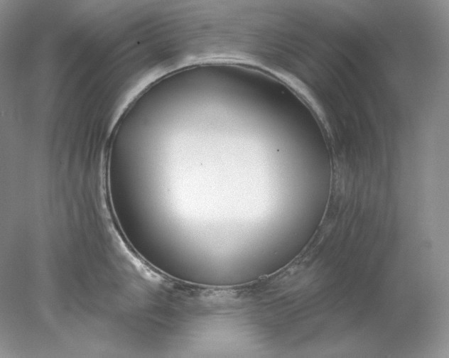 X0000078261006200611172000