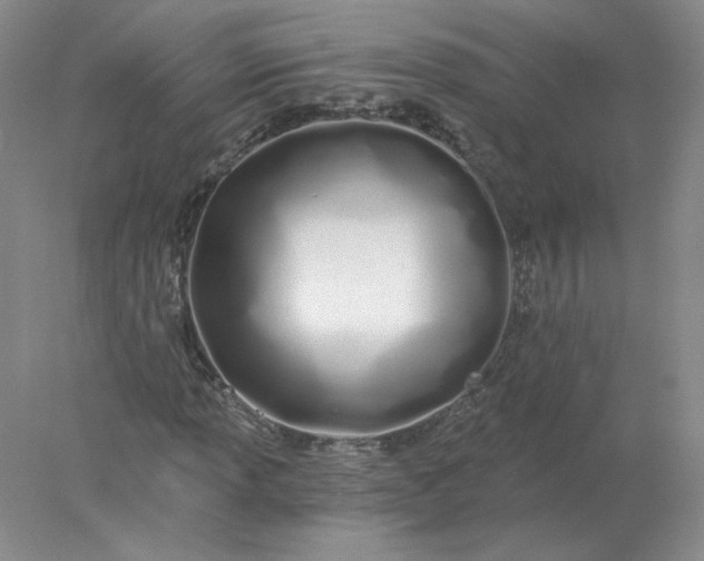 X0000078261013200611171959