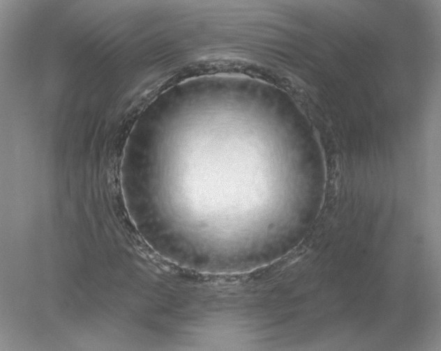 X0000078261014200611171959