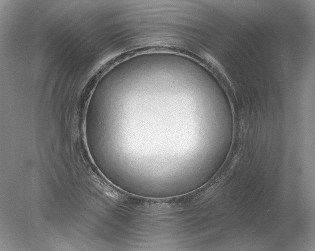 X0000078261019200611171959