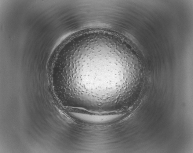 X0000078261022200611171959