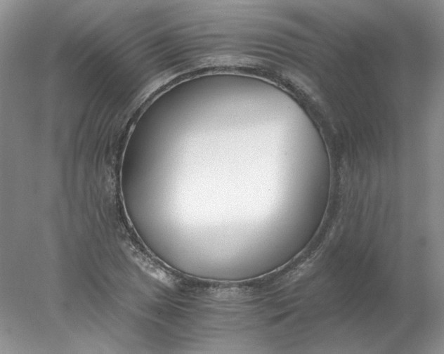 X0000078261025200611171959