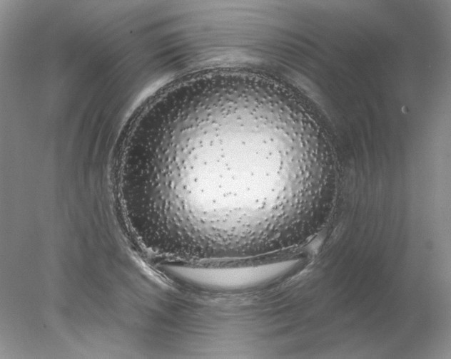 X0000078261026200611171959