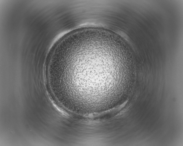 X0000078261030200611171959
