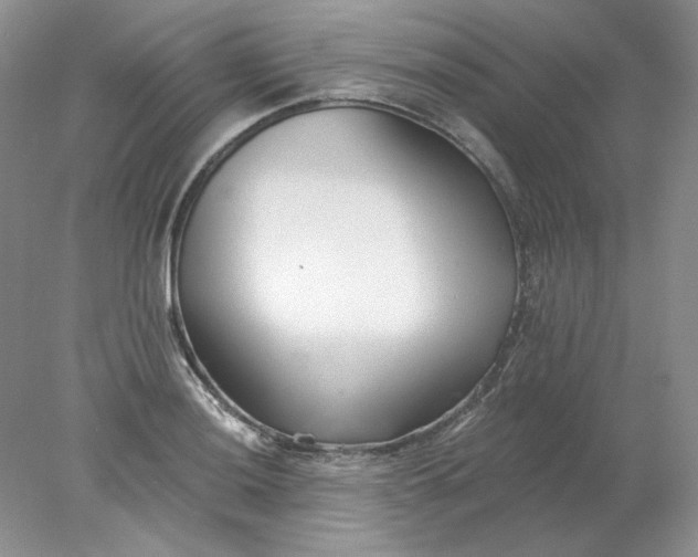X0000078261036200611171959