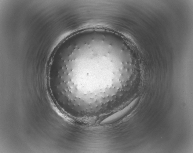 X0000078261038200611171959