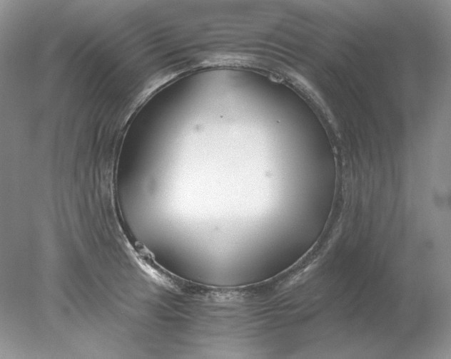 X0000078261041200611171959