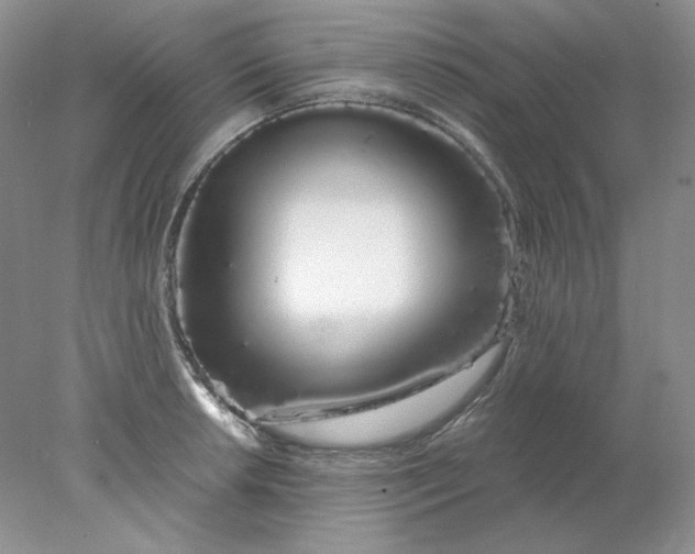 X0000078261042200611171959