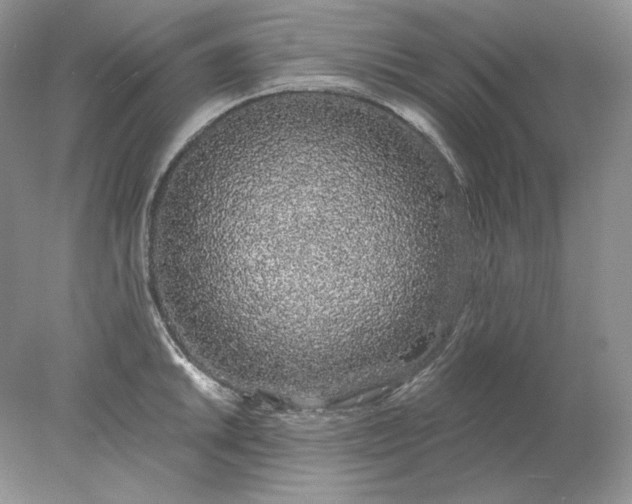 X0000078261046200611171959