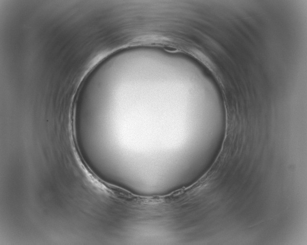 X0000078261055200611172000