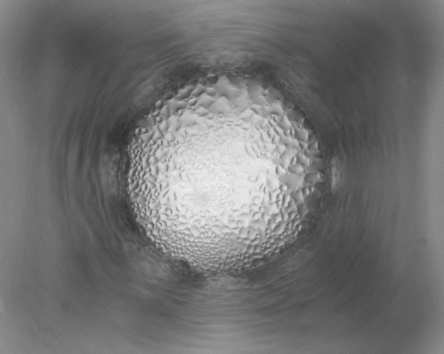 X0000078261059200611171959