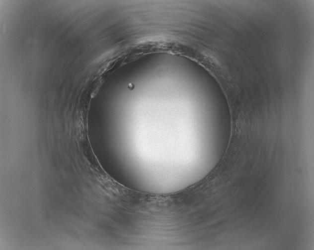 X0000078261062200611171959