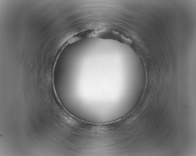 X0000078261073200611171959