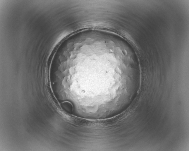 X0000078261079200611171958