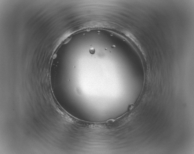 X0000078261089200611171958