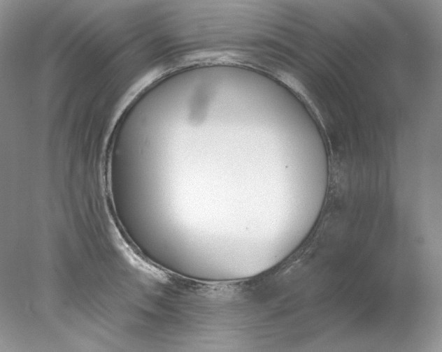 X0000078261090200611171958