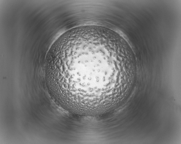 X0000078261097200611171958