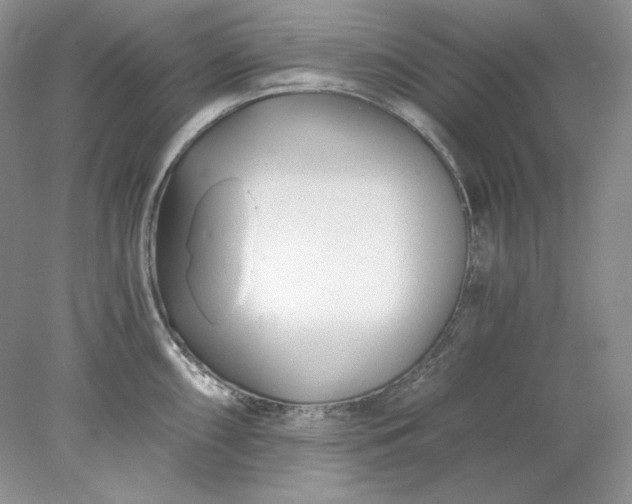 X0000078261098200611171958