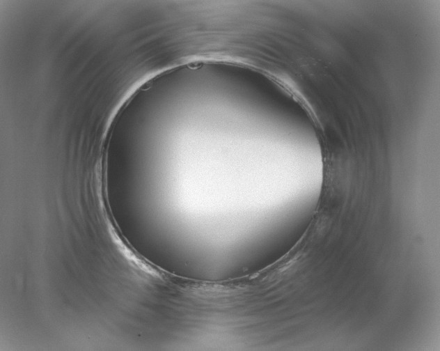 X0000078261100200611171958