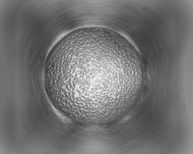 X0000078261101200611171958