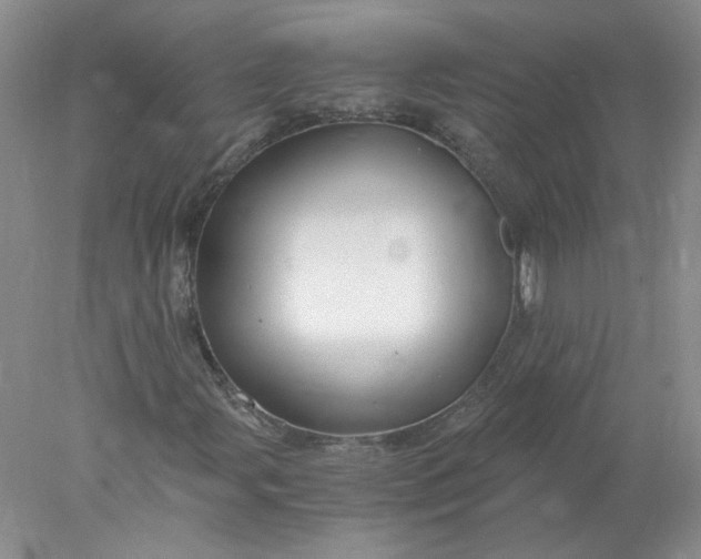 X0000078261107200611171957