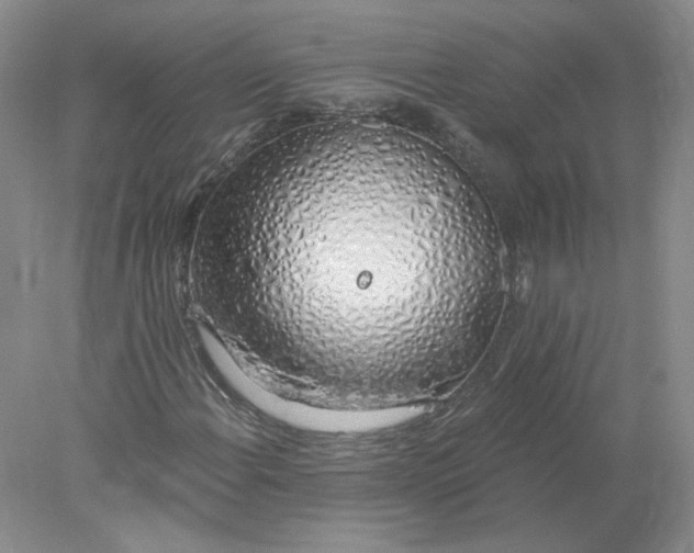 X0000078261108200611171957