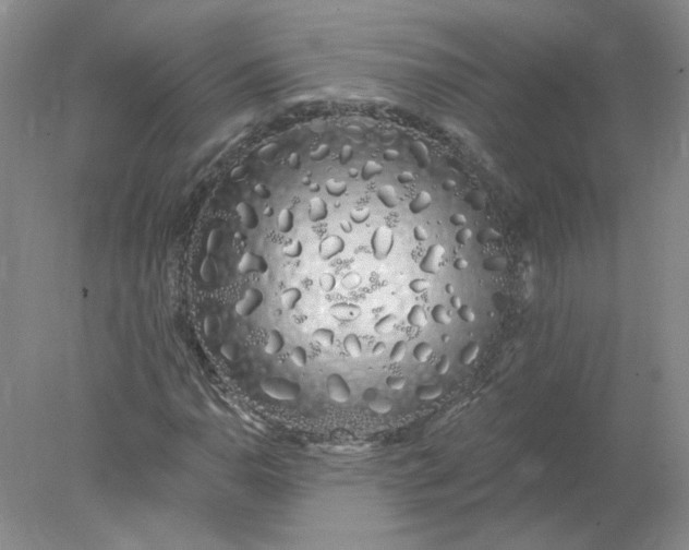 X0000078261110200611171957