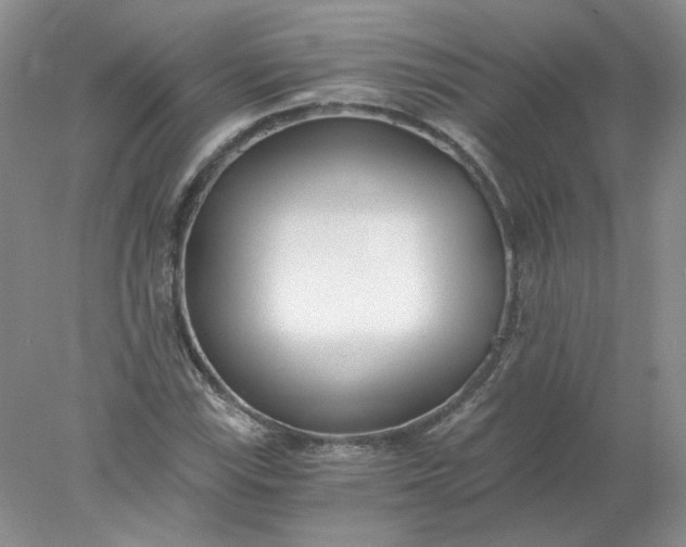 X0000078261115200611171957