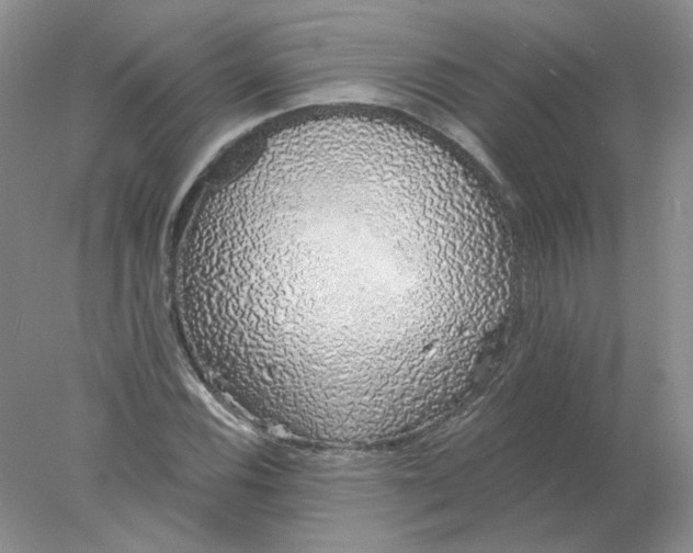 X0000078261116200611171957