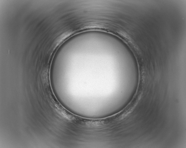 X0000078261121200611171957