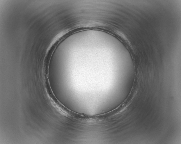 X0000078261122200611171957