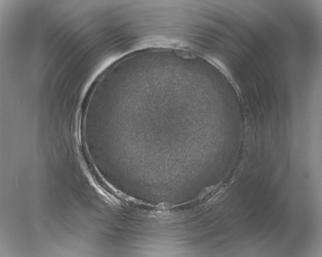 X0000078261128200611171958