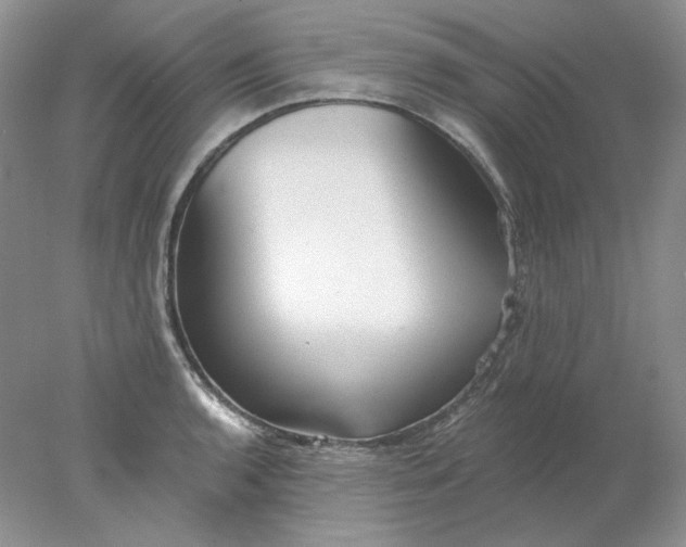 X0000078261136200611171958