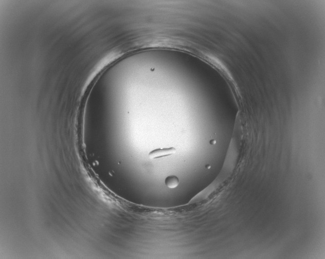 X0000078261138200611171958