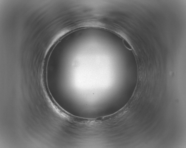 X0000078261139200611171958