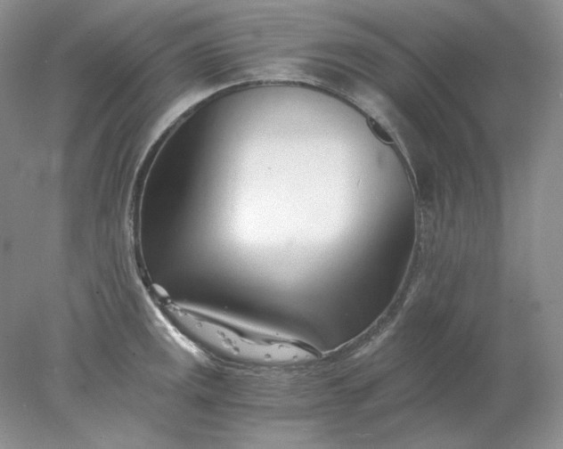 X0000078261141200611171958