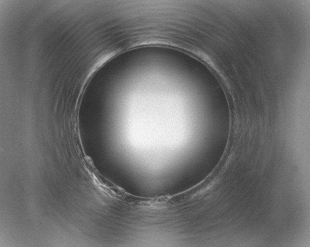 X0000078261145200611171958
