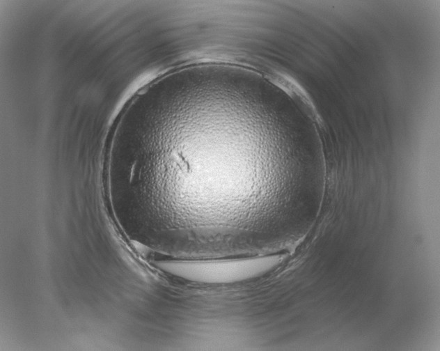 X0000078261146200611171958