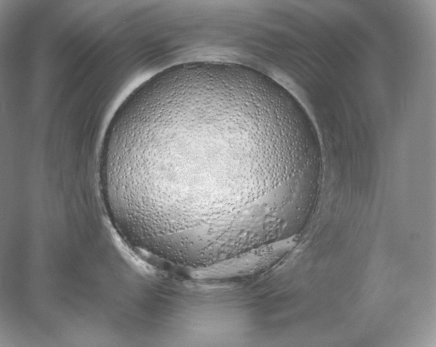 X0000078261152200611171958